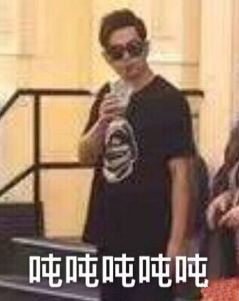 啄木鸟啄木会不会得脑震荡,啄木鸟啄木不会得脑震荡吗