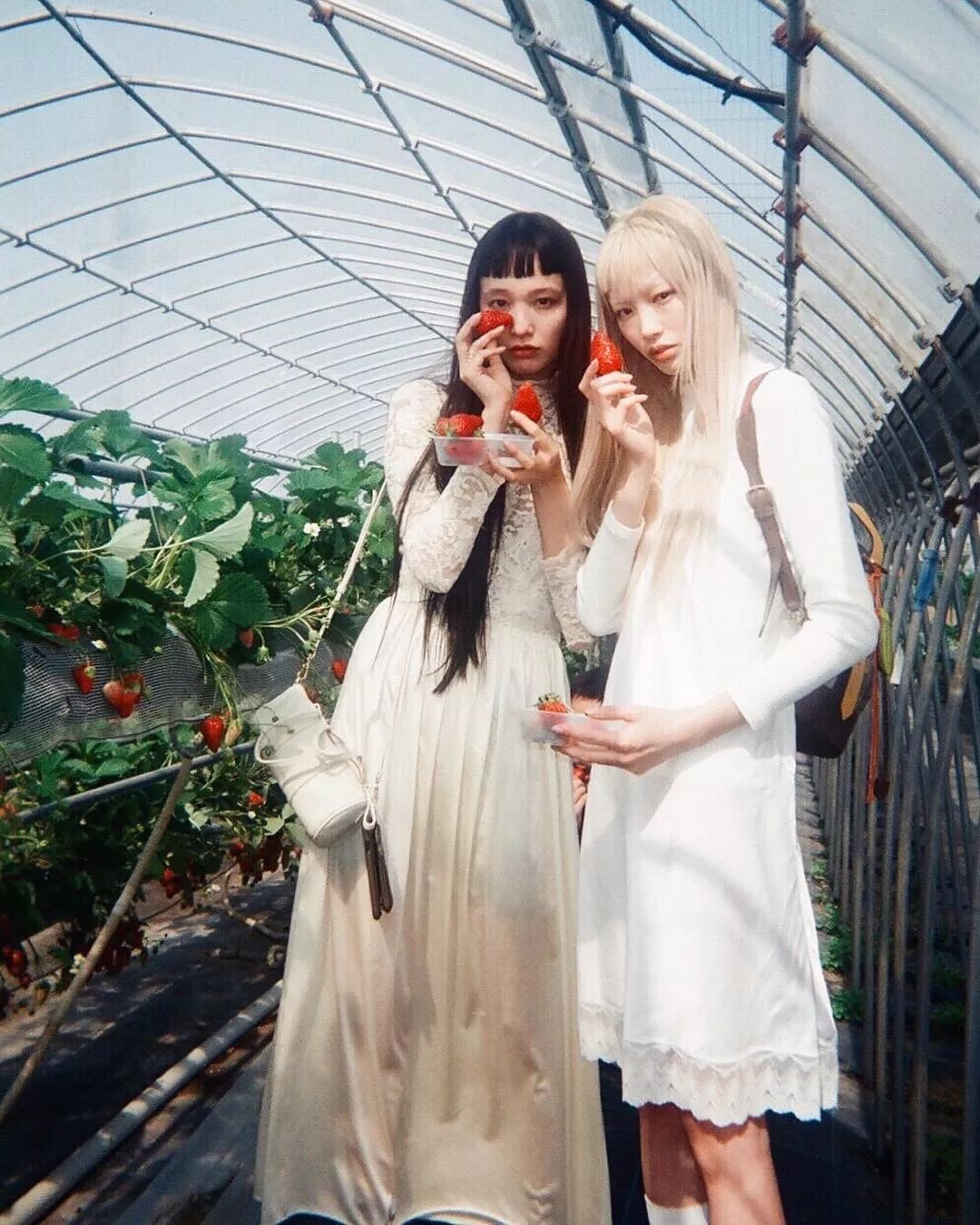 沉迷抖音、奶茶的日本青年，为什么还是比你时髦？