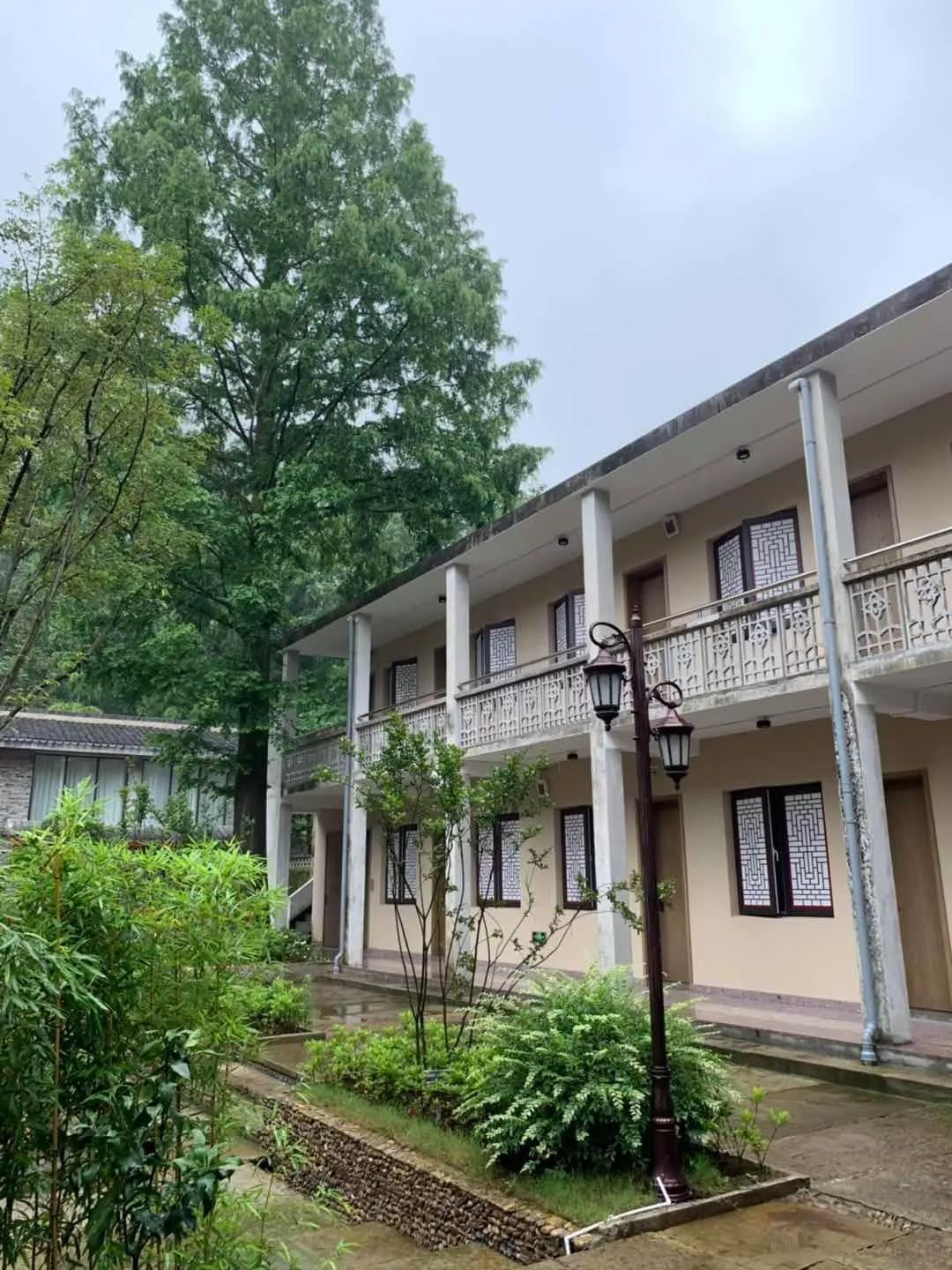 布袋大师简历,布袋大师粤语