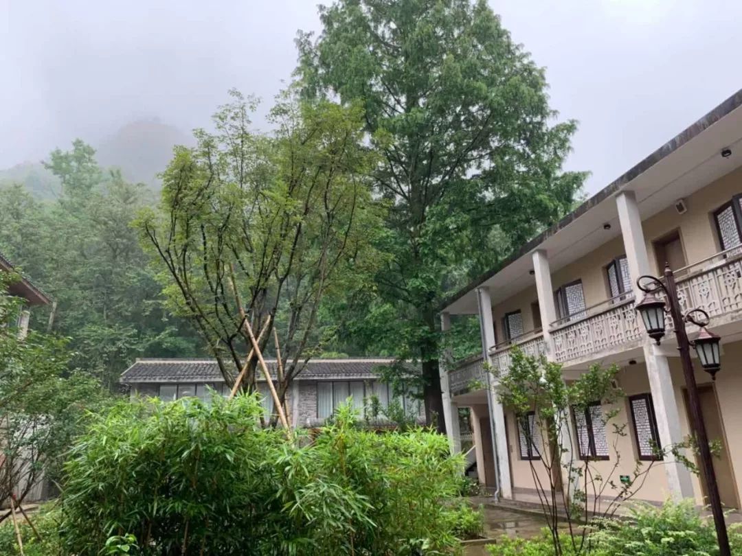 布袋大师简历,布袋大师粤语