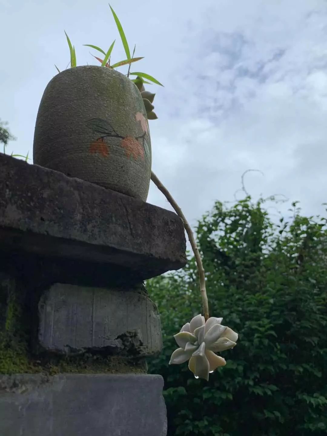 布袋大师简历,布袋大师粤语