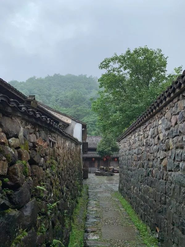 布袋大师简历,布袋大师粤语