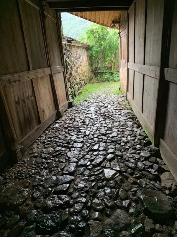 布袋大师简历,布袋大师粤语