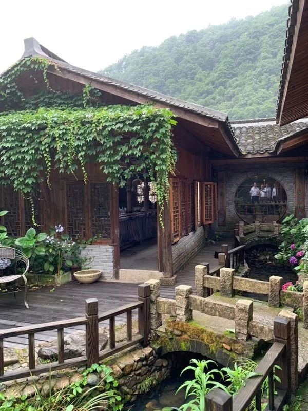 布袋大师简历,布袋大师粤语