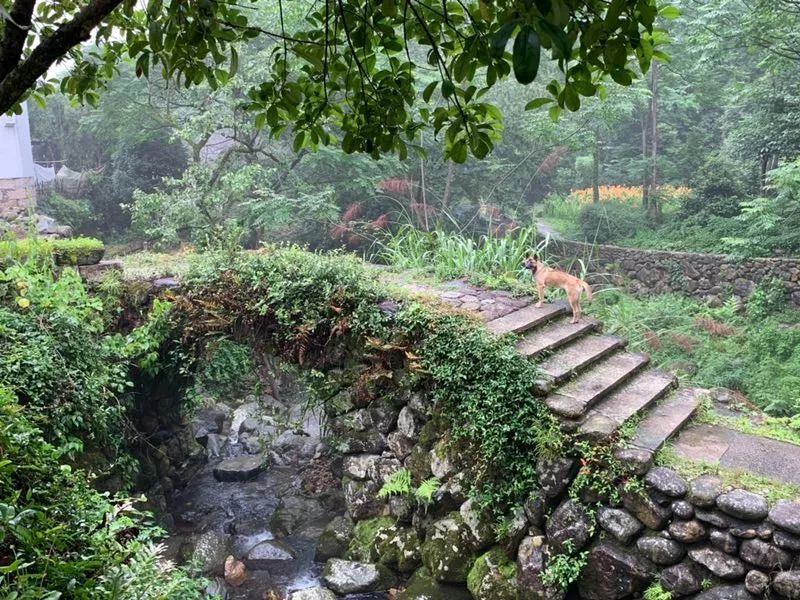 布袋大师简历,布袋大师粤语