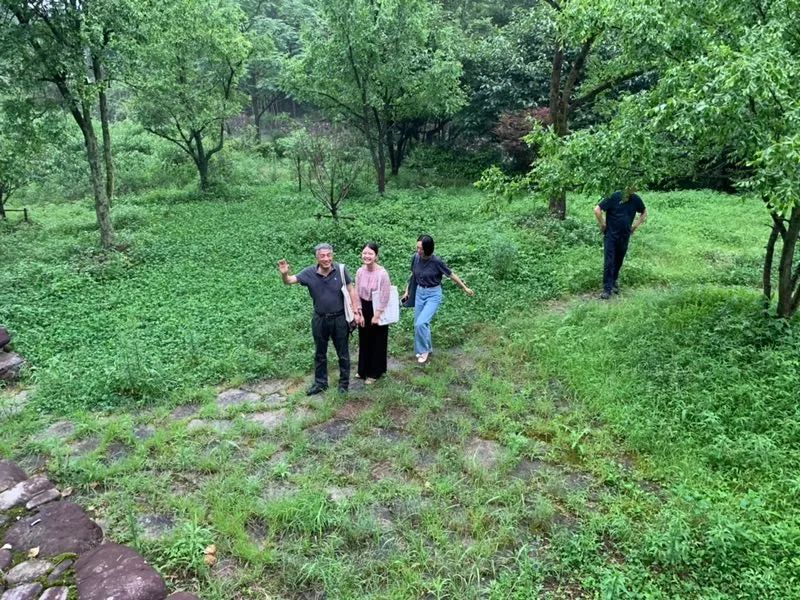 布袋大师简历,布袋大师粤语