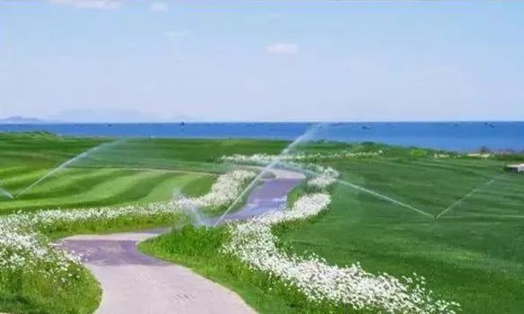 北戴河玩海夏令营,暑期海滨夏令营