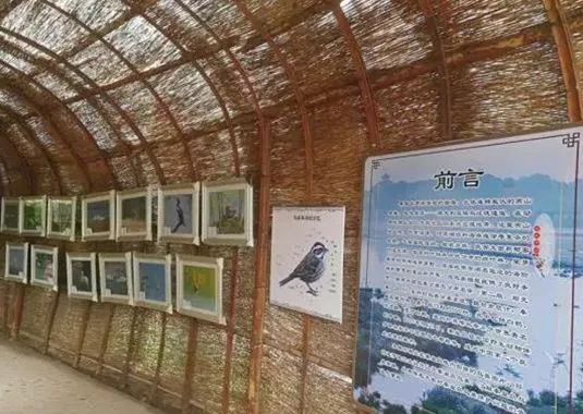 北戴河玩海夏令营,暑期海滨夏令营