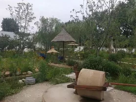 北戴河玩海夏令营,暑期海滨夏令营