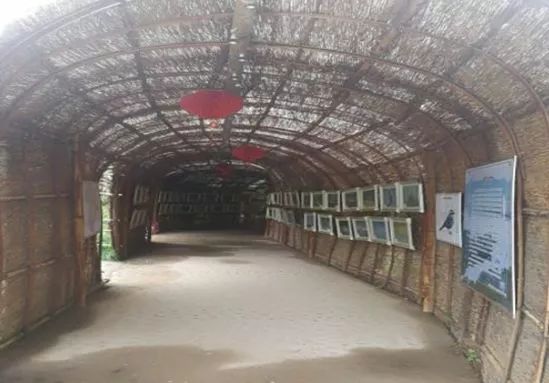 北戴河玩海夏令营,暑期海滨夏令营