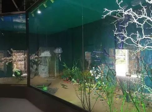 北戴河玩海夏令营,暑期海滨夏令营