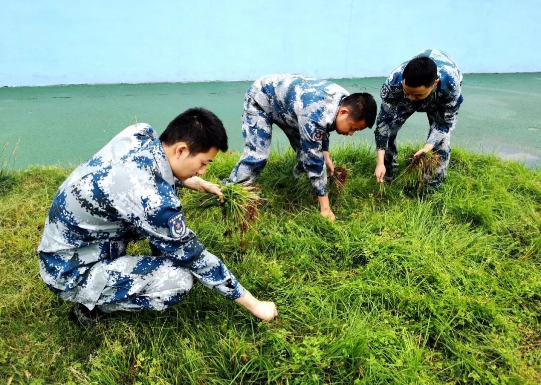 专业医生修甲沟炎,军医在线保护牙齿预防牙外伤