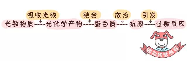 怎样吃感光食物不会晒黑,预防晒黑应该吃的食物