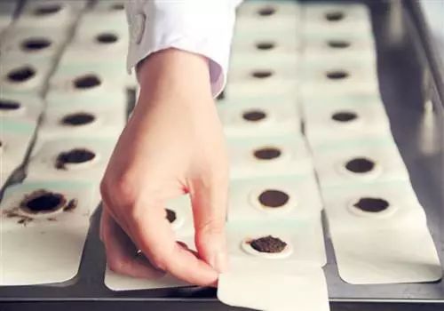 冬病夏治“三伏贴”,信阳预约看这里