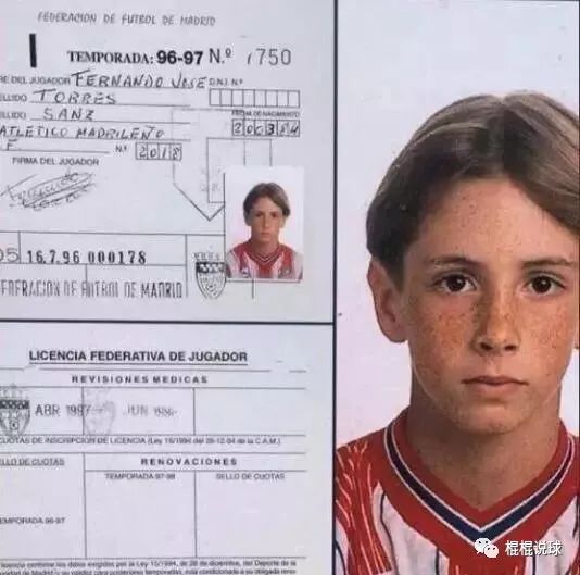 费尔南多托雷斯空门不进,费尔南多托雷斯经典进球