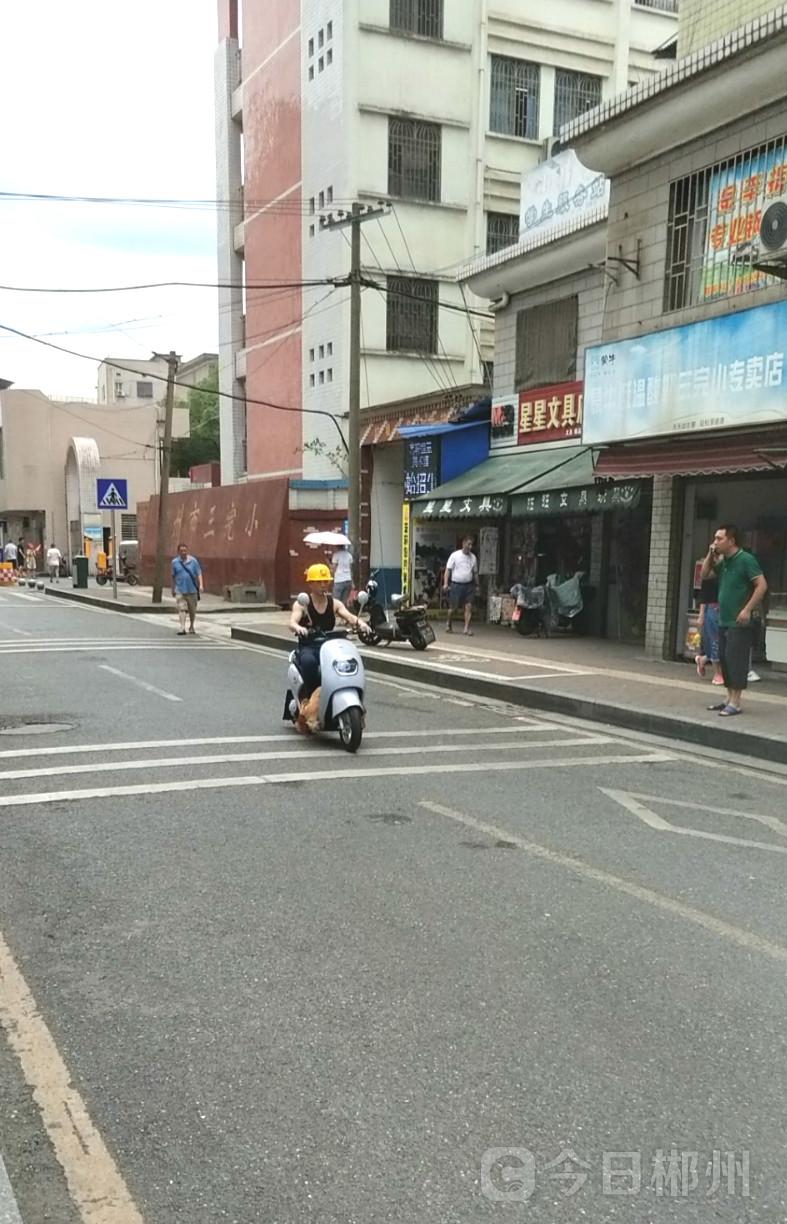 在校门口当义工为孩子保驾护航,守护上学路家长志愿者