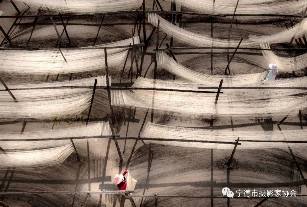 他们来自福安各行各业,可相机里却有令人惊叹的美!