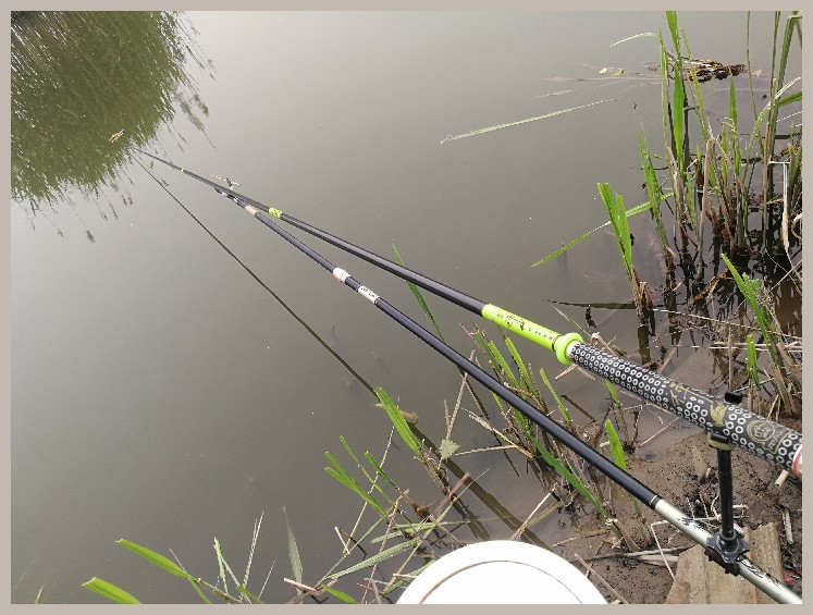 狂拉餐条,狂拉餐条鱼视频