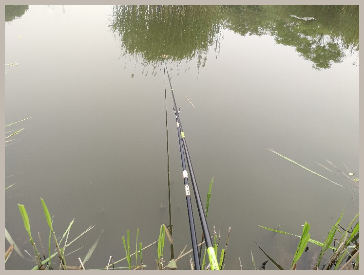 狂拉餐条,狂拉餐条鱼视频
