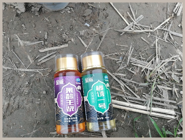 狂拉餐条,狂拉餐条鱼视频