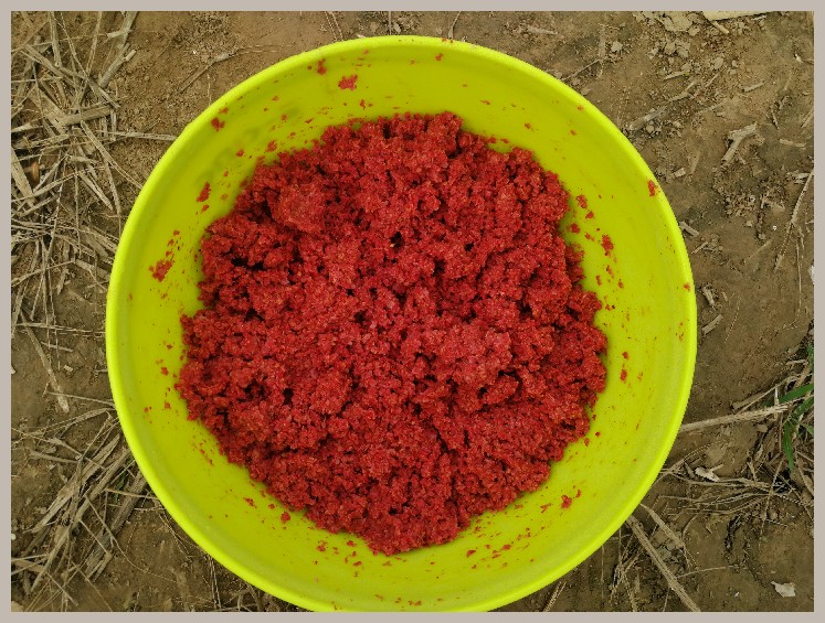 狂拉餐条,狂拉餐条鱼视频