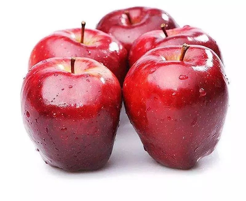 奇异果和猕猴桃是同一种水果吗,猕猴桃奇异果和菠萝凤梨的区别