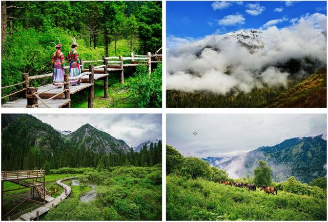 限时抢购||399元抢白马王朗酒店2大1小套票