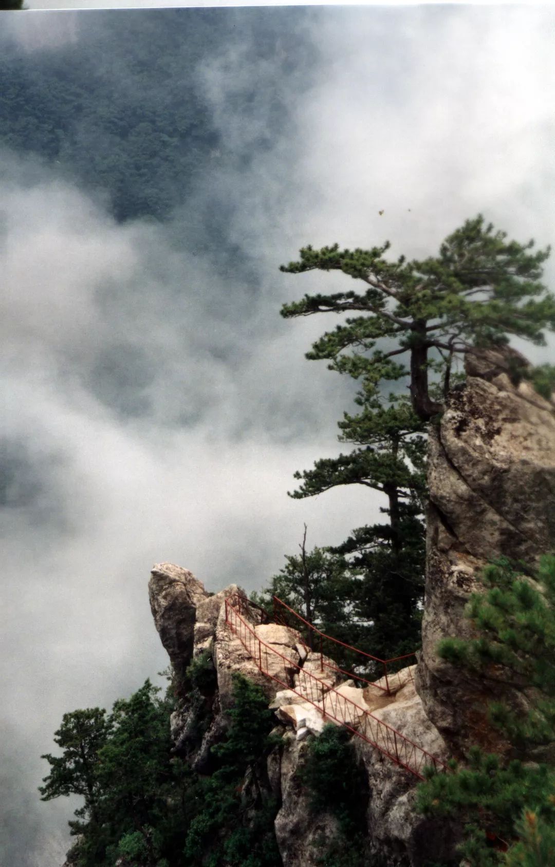 山水雪浴相见欢，鲁山耀中原