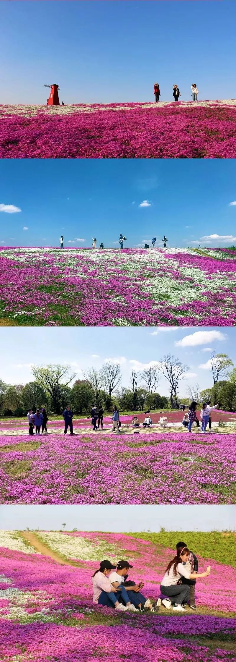 贵阳夏天气温最高多少,贵阳夏天最高气温是多少度