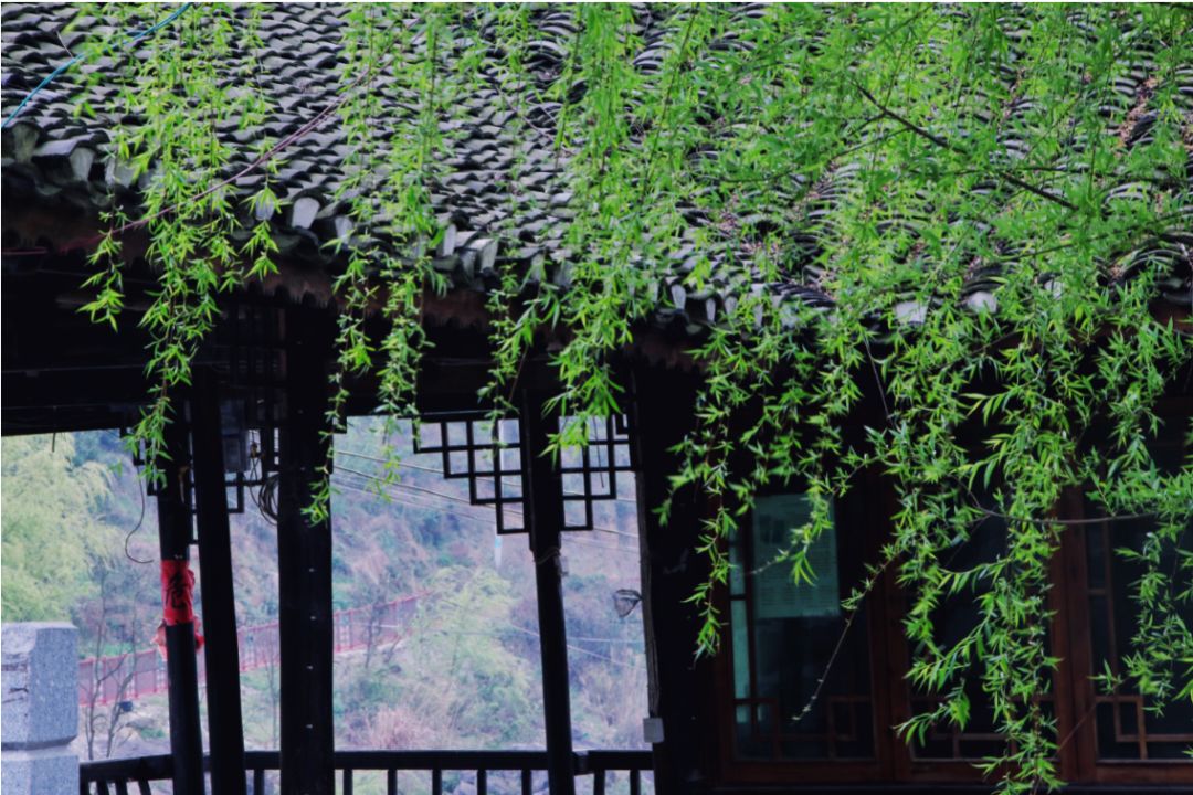 贵阳夏天气温最高多少,贵阳夏天最高气温是多少度