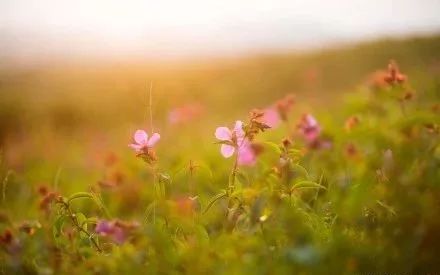 贵阳夏天气温最高多少,贵阳夏天最高气温是多少度