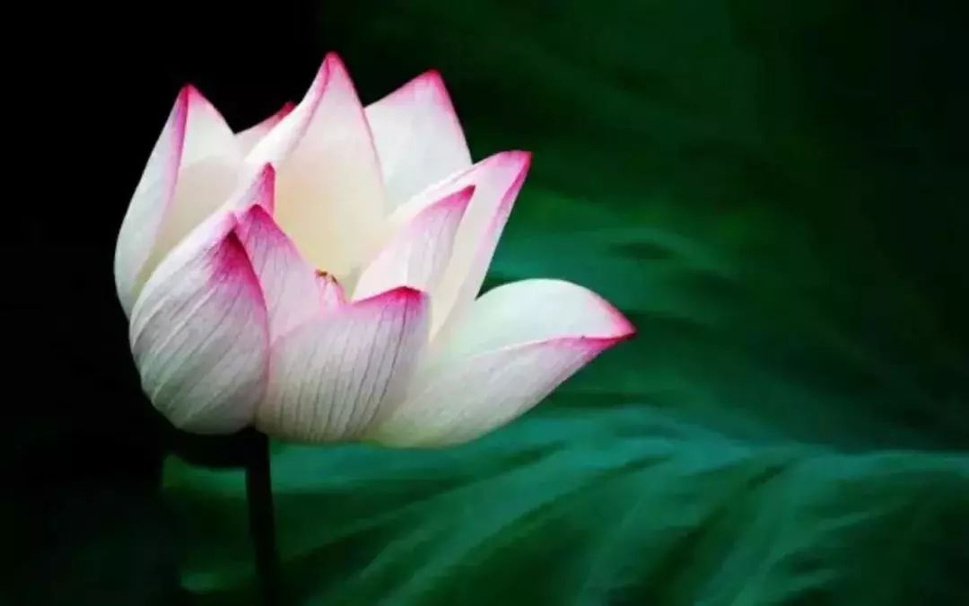 贵阳夏天气温最高多少,贵阳夏天最高气温是多少度