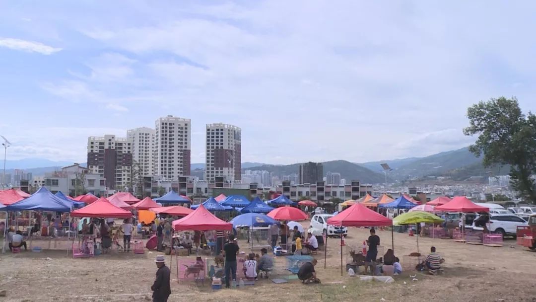 道口狗市场现在搬到哪里,下关狗市场什么时候开