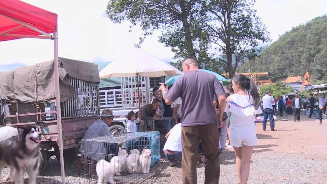 道口狗市场现在搬到哪里,下关狗市场什么时候开