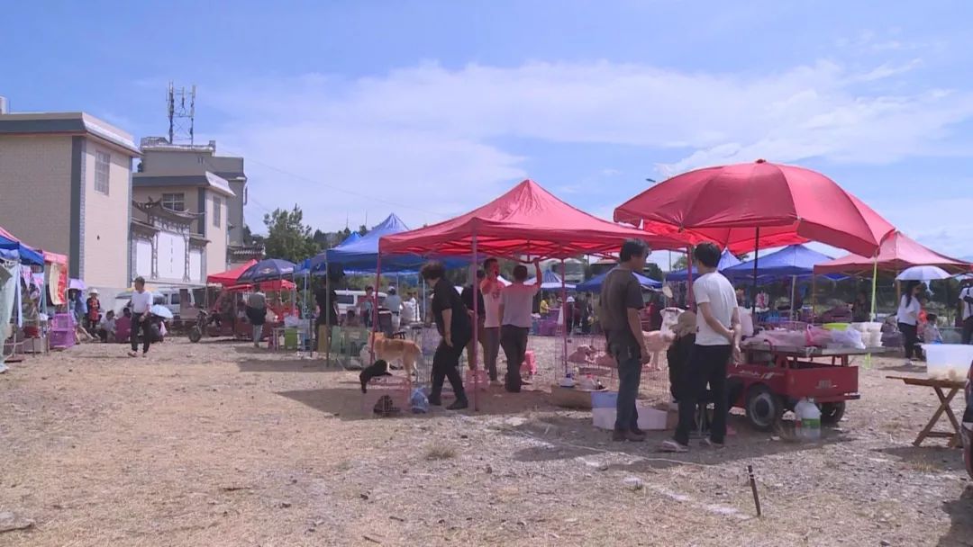 道口狗市场现在搬到哪里,下关狗市场什么时候开