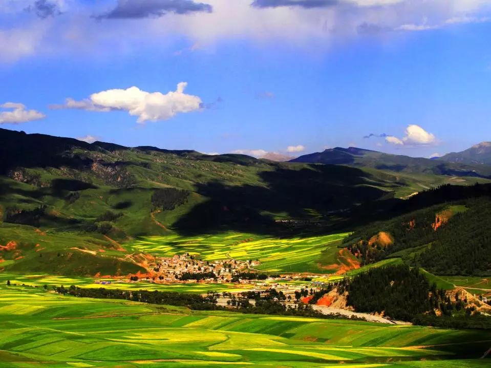 孩子的“聪明药”别买，有毒！这样发津贴补贴或福利，违规！今年避暑最佳城市竟是…