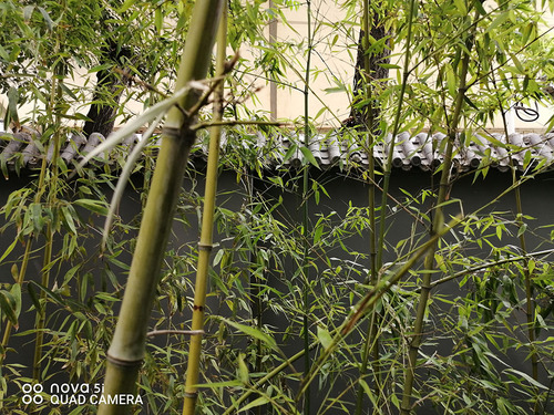 华为nova5i参数配置详情图片,nova5i与nova5ipro区别