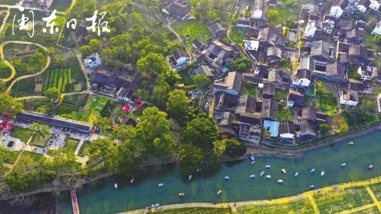 宁德有哪些地方有国字号,宁德地区国字号