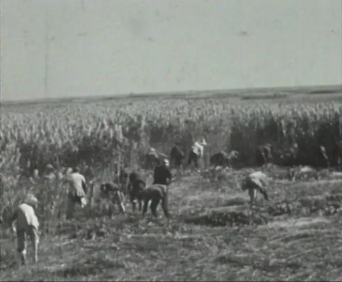 崇明围垦历史事件,崇明围垦纪录片