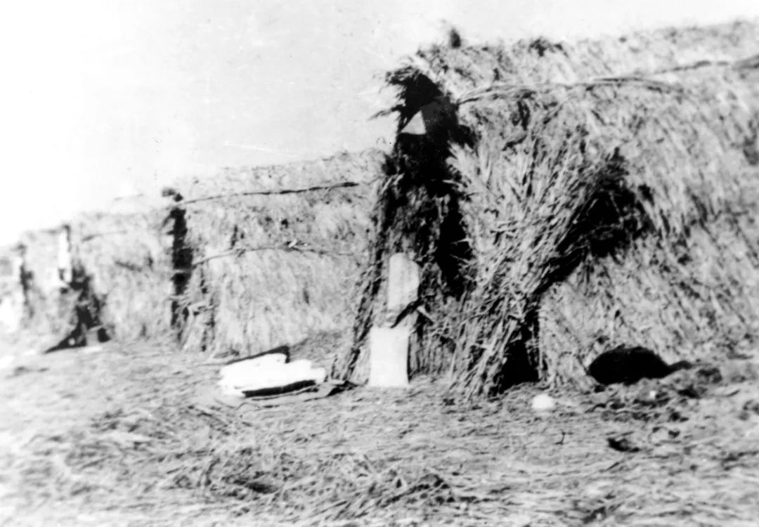 崇明围垦历史事件,崇明围垦纪录片