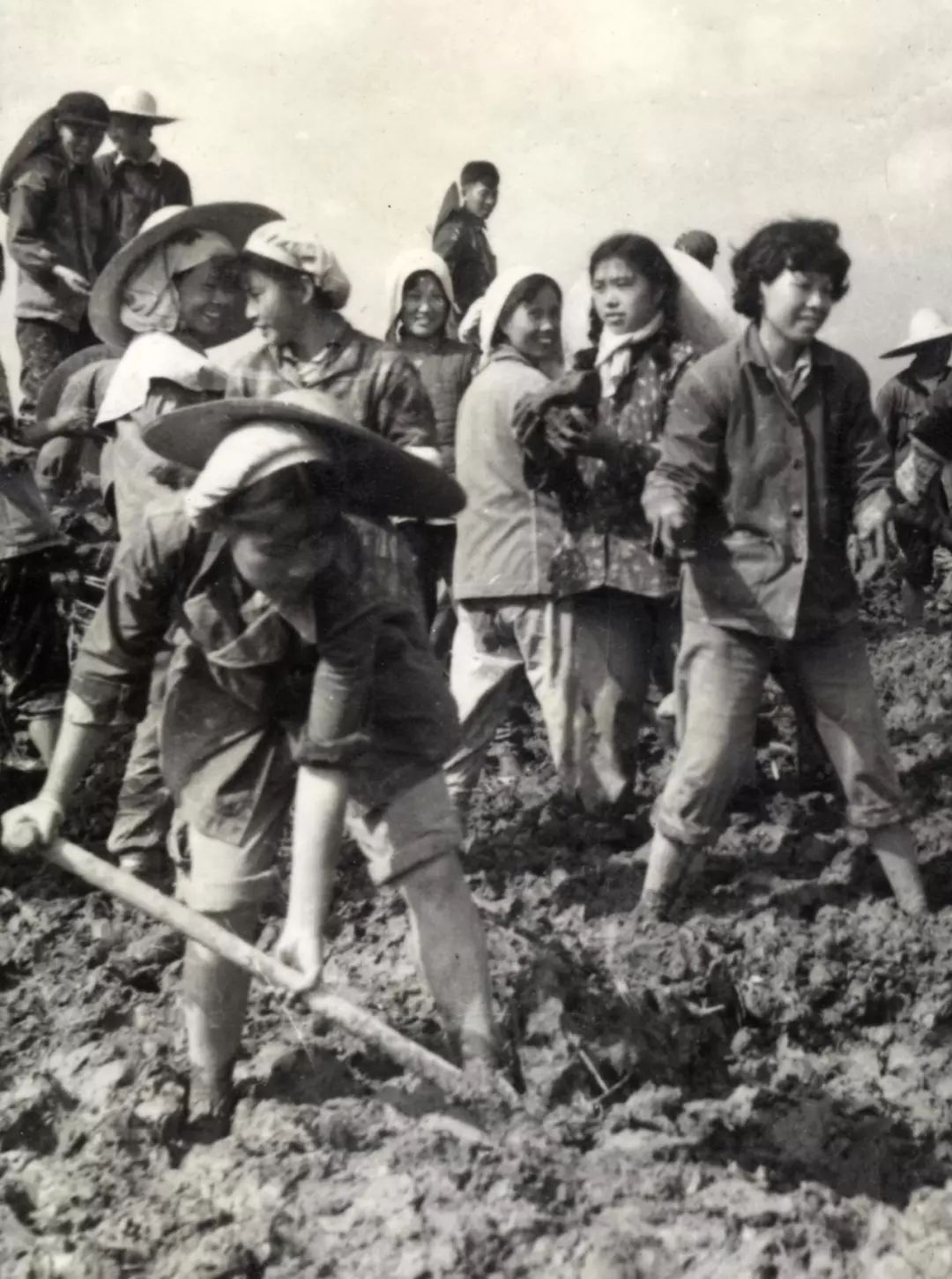 崇明围垦历史事件,崇明围垦纪录片