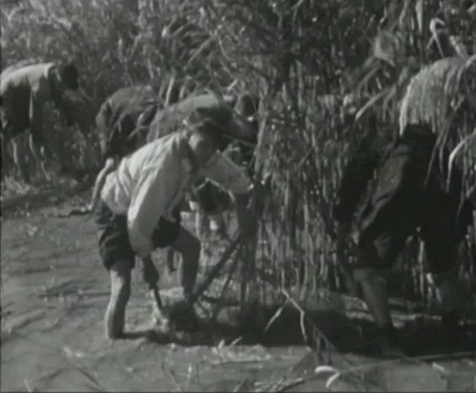 崇明围垦历史事件,崇明围垦纪录片