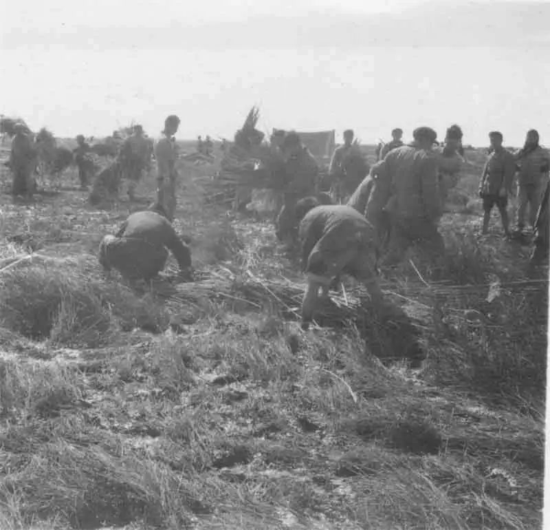 崇明围垦历史事件,崇明围垦纪录片