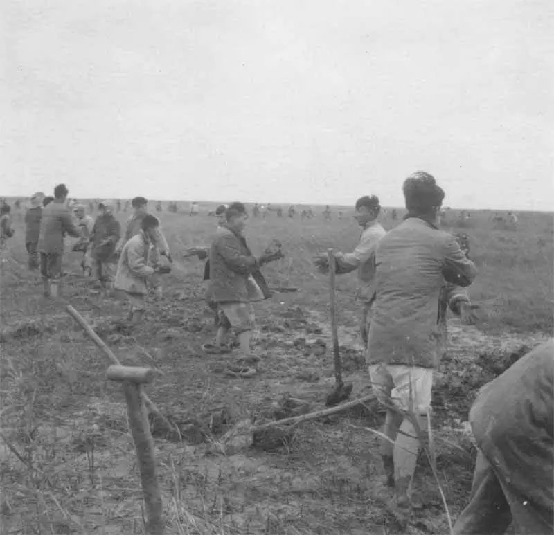 崇明围垦历史事件,崇明围垦纪录片