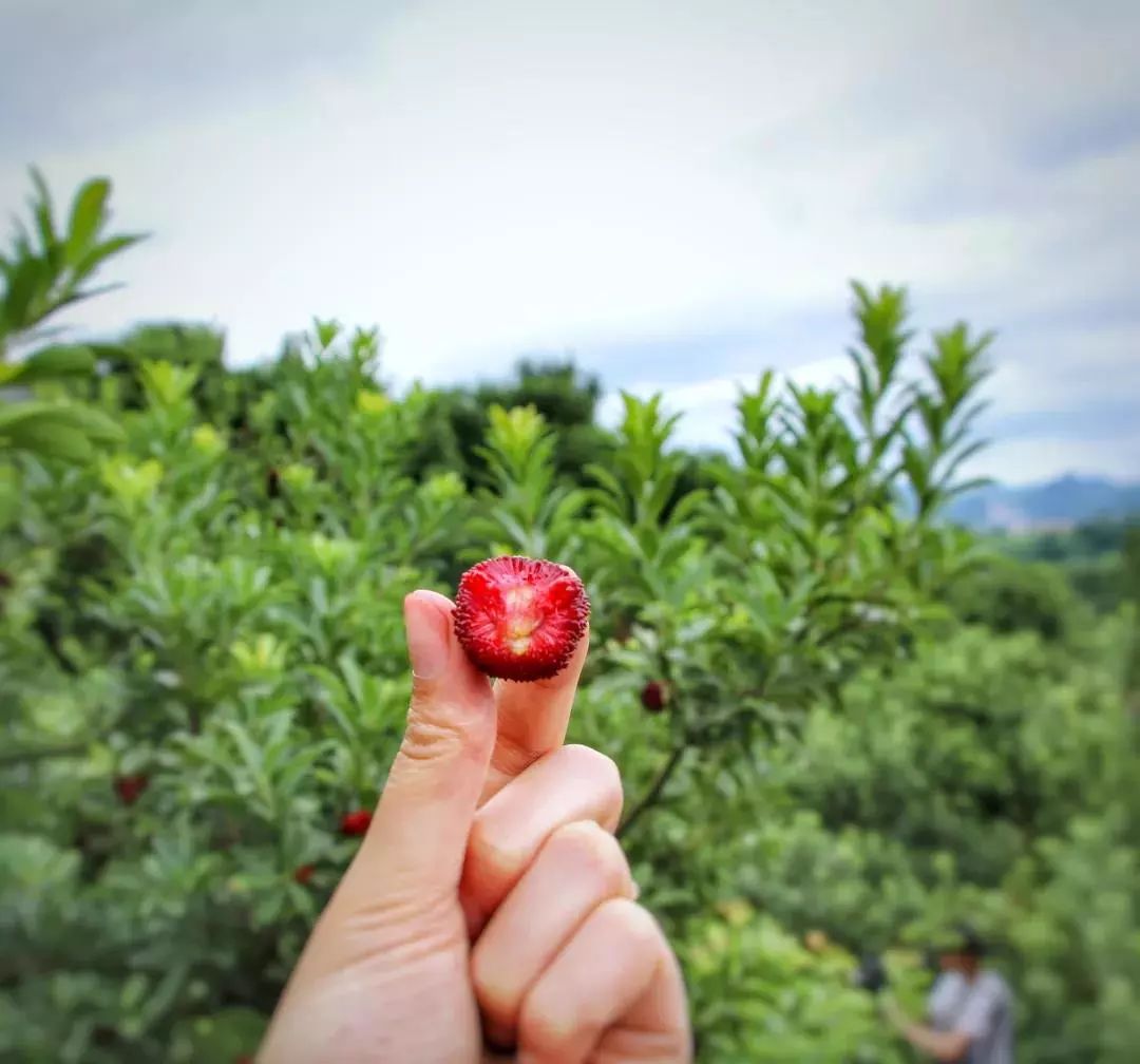 贵阳夏天气温最高多少,贵阳夏天最高气温是多少度