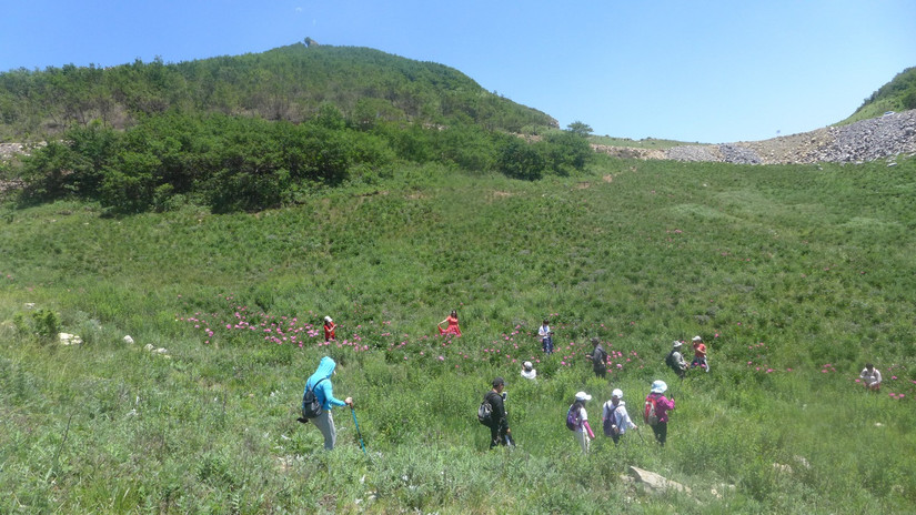 美丽芍药谷,云雾缭绕人间仙境芍药谷