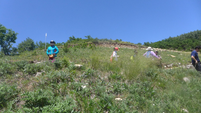 美丽芍药谷,云雾缭绕人间仙境芍药谷