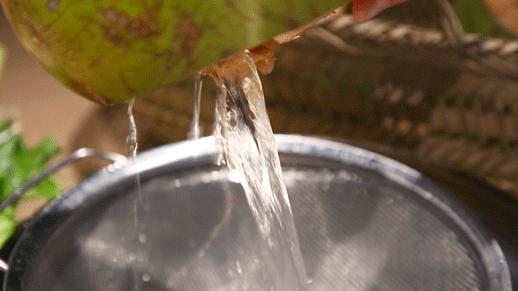 4.8折！扬州这家店的招牌竟然是“养生神仙水”，连喝三碗都不够