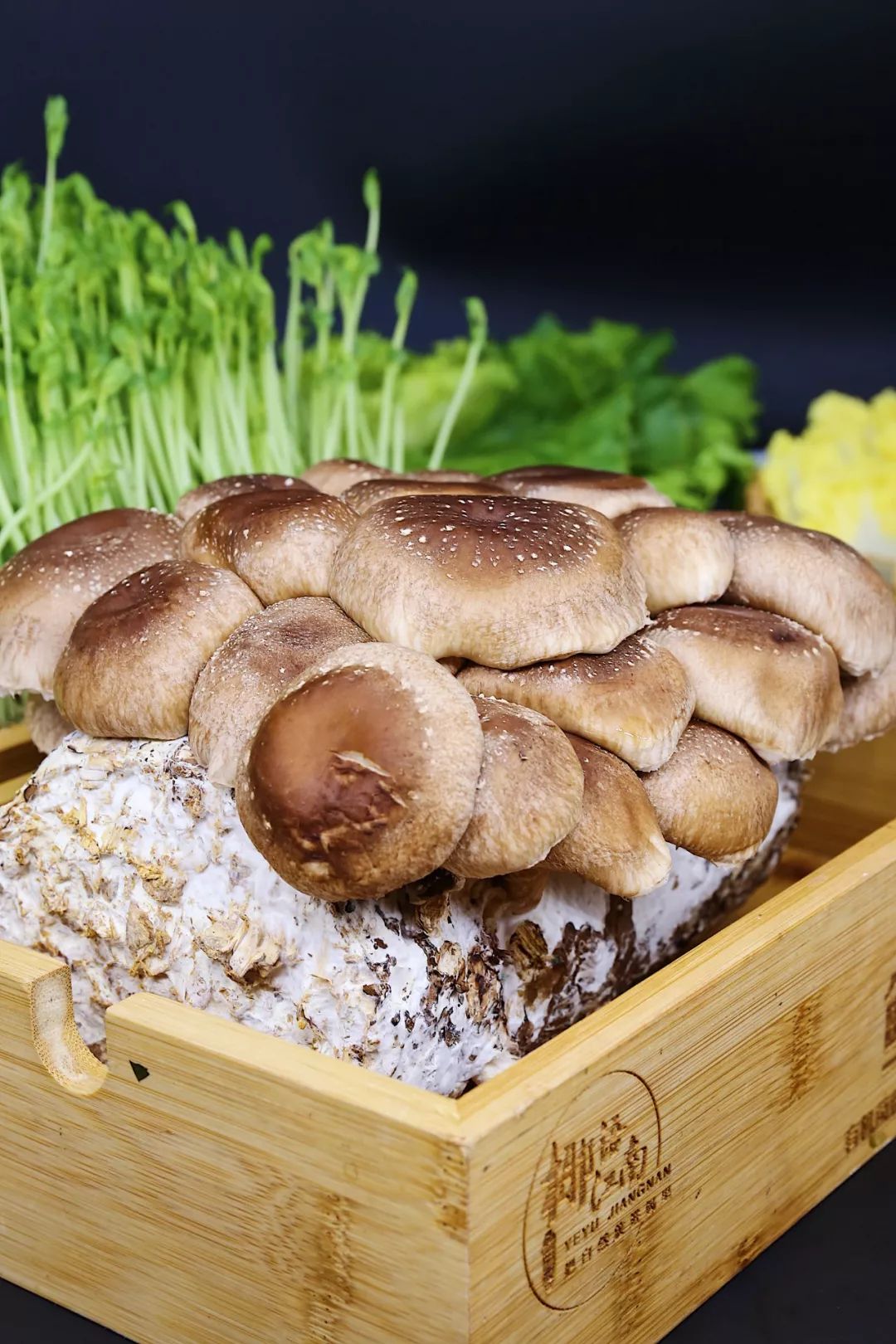 4.8折！扬州这家店的招牌竟然是“养生神仙水”，连喝三碗都不够