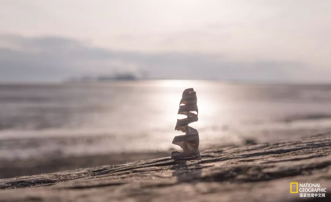 热爱摄影热爱跑步热爱生活,如果你热爱拍照